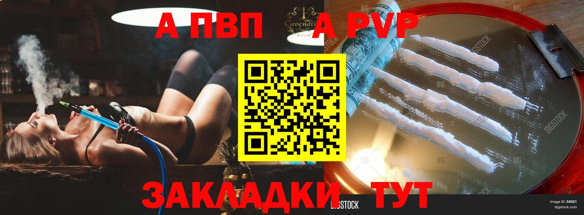 А ПВП СК КРИС  A-PVP СК  Альфа ПВП СК КРИС  Печора  Вход с VPN 